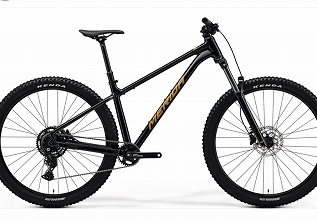 merida big trail 300