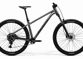 merida big trail 300