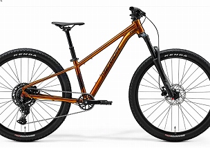 merida matts j champion