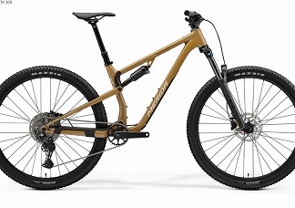 merida one twenty 300